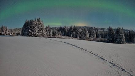 Homer Alaska Northern Lights Live Cam - Jan 8, 2026, 1:46am AKST
