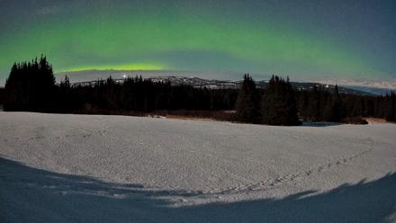 Homer Alaska Northern Lights Live Cam - Feb 25, 2026, 1:51am AKST