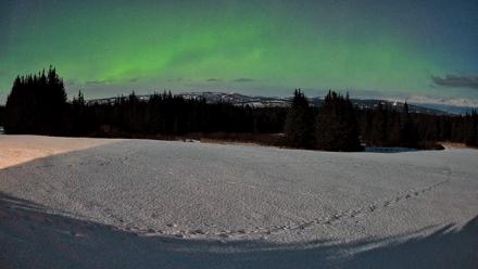 Homer Alaska Northern Lights Live Cam - Feb 25, 2026, 2:11am AKST