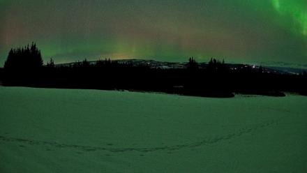 Homer Alaska Northern Lights Live Cam - Feb 22, 2026, 1:52am AKST