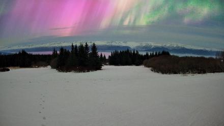 Homer Alaska Northern Lights Live Cam - Jan 20, 2026, 6:26am AKST