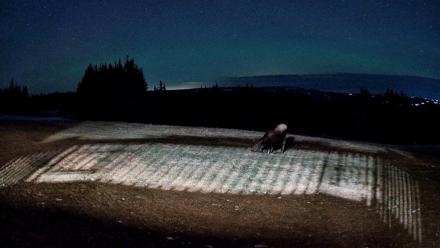 Homer Alaska Northern Lights Live Cam - Dec 22, 2025, 9:47pm AKST