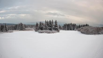 Homer Alaska Northern Lights Live Cam - Jan 13, 2026, 4:42pm AKST