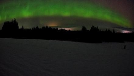 Homer Alaska Northern Lights Live Cam - Feb 19, 2026, 3:31am AKST