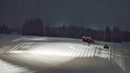 Homer Alaska Northern Lights Live Cam - Jan 5, 2026, 7:28pm AKST