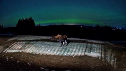 Homer Alaska Northern Lights Live Cam - Dec 11, 2025, 9:53pm AKST