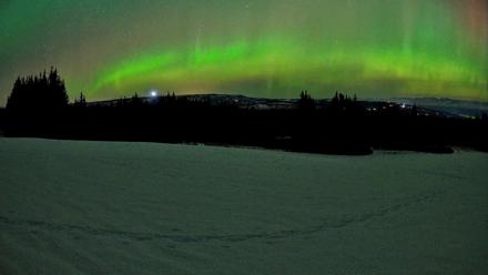 Homer Alaska Northern Lights Live Cam - Feb 22, 2026, 12:40am AKST