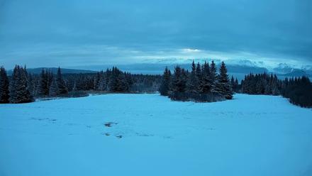 Homer Alaska Northern Lights Live Cam - Jan 5, 2026, 10:22am AKST