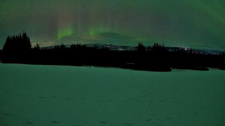 Homer Alaska Northern Lights Live Cam - Mar 14, 2026, 12:23am AKDT