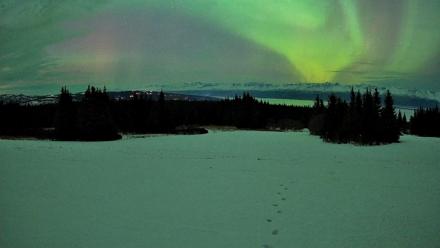 Homer Alaska Northern Lights Live Cam - Jan 20, 2026, 10:38pm AKST