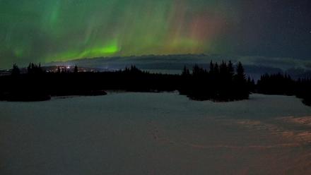 Homer Alaska Northern Lights Live Cam - Feb 15, 2026, 9:27pm AKST