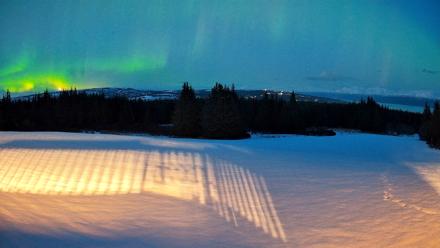 Homer Alaska Northern Lights Live Cam - Feb 14, 2026, 7:26pm AKST