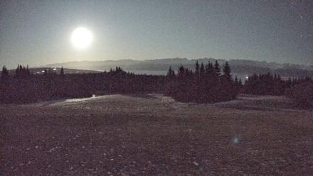 Homer Alaska Northern Lights Live Cam - Dec 8, 2025, 10:27pm AKST