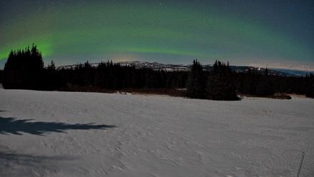 Homer Alaska Northern Lights Live Cam - Mar 24, 2026, 11:40pm AKDT