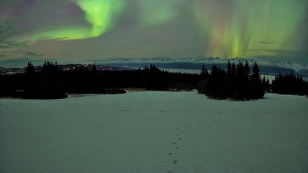 Homer Alaska Northern Lights Live Cam - Jan 20, 2026, 10:22pm AKST