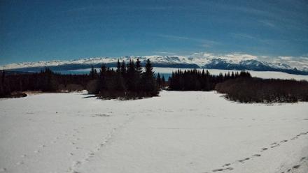 Homer Alaska Northern Lights Live Cam - Jan 31, 2026, 10:54pm AKST