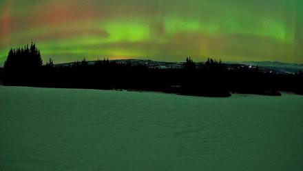 Homer Alaska Northern Lights Live Cam - Mar 13, 2026, 1:26am AKDT