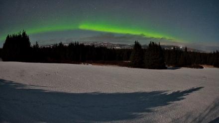 Homer Alaska Northern Lights Live Cam - Feb 24, 2026, 12:02am AKST