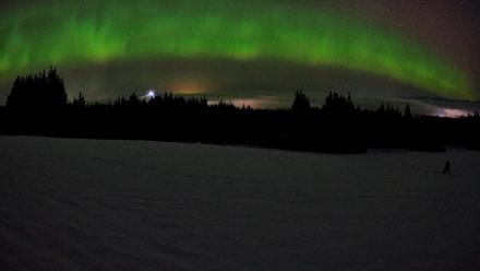 Homer Alaska Northern Lights Live Cam - Feb 19, 2026, 3:31am AKST