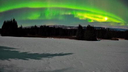 Homer Alaska Northern Lights Live Cam - Mar 25, 2026, 12:42am AKDT