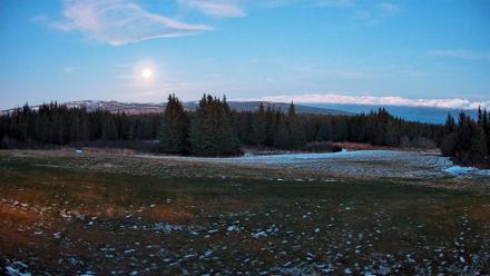 Homer Alaska Northern Lights Live Cam - Dec 5, 2025, 6:25pm AKST