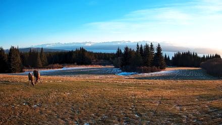Homer Alaska Northern Lights Live Cam - Dec 12, 2025, 11:09am AKST