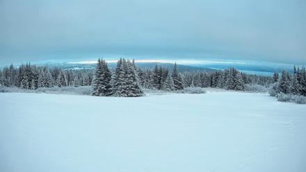 Homer Alaska Northern Lights Live Cam - Jan 12, 2026, 4:48pm AKST