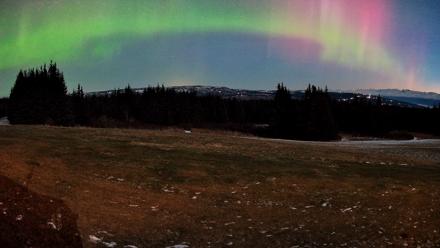 Homer Alaska Northern Lights Live Cam - Dec 12, 2025, 7:53am AKST