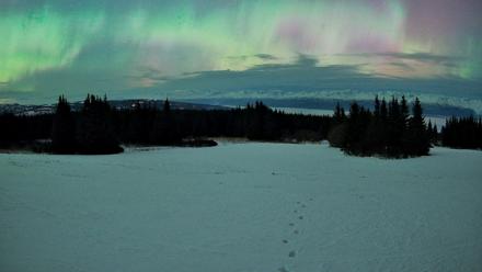 Homer Alaska Northern Lights Live Cam - Jan 20, 2026, 5:11am AKST