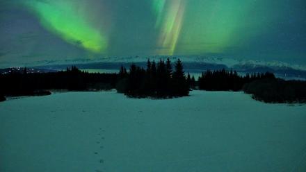 Homer Alaska Northern Lights Live Cam - Jan 20, 2026, 9:50pm AKST