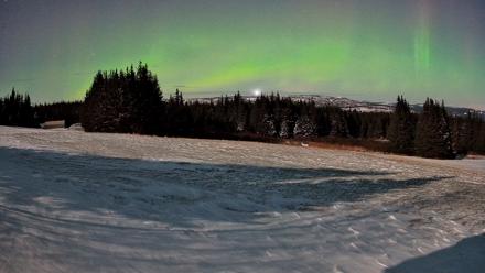 Homer Alaska Northern Lights Live Cam - Dec 29, 2025, 12:40am AKST