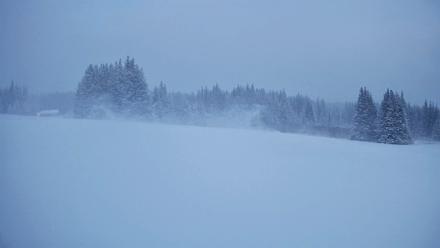 Homer Alaska Northern Lights Live Cam - Jan 6, 2026, 10:05pm AKST