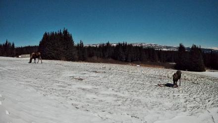 Homer Alaska Northern Lights Live Cam - Jan 2, 2026, 10:47pm AKST