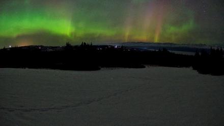 Homer Alaska Northern Lights Live Cam - Feb 22, 2026, 5:38am AKST