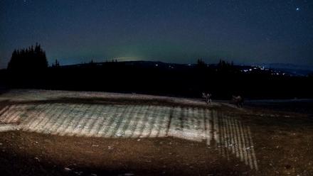 Homer Alaska Northern Lights Live Cam - Dec 15, 2025, 8:48pm AKST