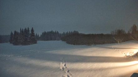 Homer Alaska Northern Lights Live Cam - Jan 6, 2026, 6:43am AKST