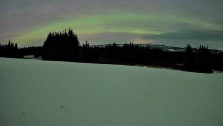 Homer Alaska Northern Lights Live Cam - Jan 21, 2026, 1:40am AKST