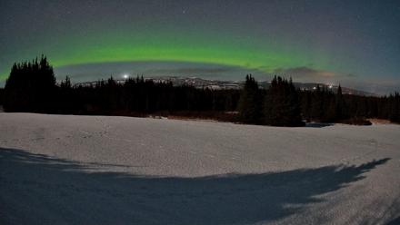 Homer Alaska Northern Lights Live Cam - Feb 24, 2026, 12:12am AKST