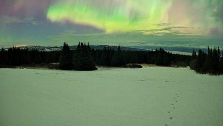 Homer Alaska Northern Lights Live Cam - Jan 20, 2026, 5:55am AKST