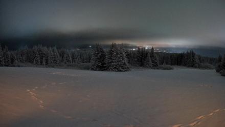 Homer Alaska Northern Lights Live Cam - Jan 11, 2026, 8:05pm AKST