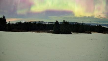 Homer Alaska Northern Lights Live Cam - Jan 20, 2026, 5:47am AKST