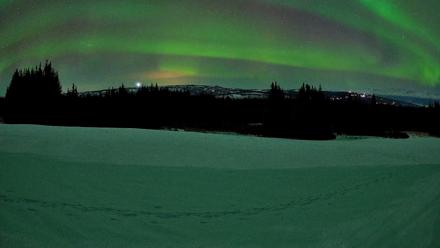 Homer Alaska Northern Lights Live Cam - Feb 21, 2026, 10:32pm AKST