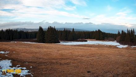 Homer Alaska Northern Lights Live Cam - Apr 19, 2026, 8:21pm AKDT