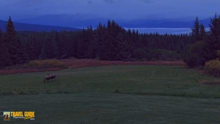 Homer Alaska Northern Lights Live Cam - Sep 25, 2026, 8:17pm AKDT