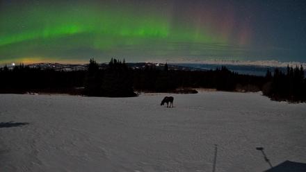 Homer Alaska Northern Lights Live Cam - Mar 23, 2026, 10:51pm AKDT