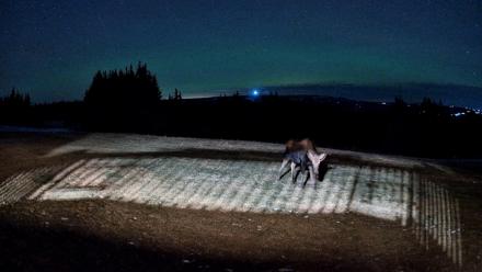 Homer Alaska Northern Lights Live Cam - Dec 22, 2025, 9:50pm AKST