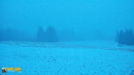 Homer Alaska Northern Lights Live Cam - May 9, 2026, 11:22pm AKDT
