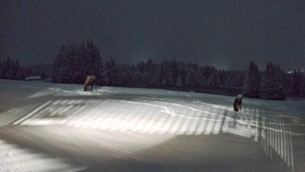 Homer Alaska Northern Lights Live Cam - Jan 5, 2026, 9:29pm AKST