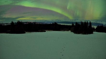 Homer Alaska Northern Lights Live Cam - Jan 20, 2026, 10:24pm AKST