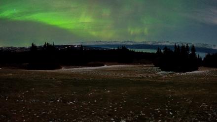 Homer Alaska Northern Lights Live Cam - Dec 12, 2025, 5:14am AKST